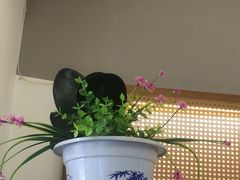 -花鸟鱼私家小厨·川菜(文殊院店)