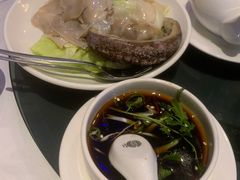 -食为先(Shark Fin)