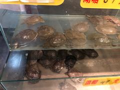 -鳖皇甲鱼餐厅(平阳路店)