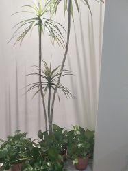 -VE小颜皮肤管理&科学美肤中心