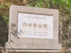 -白水寺森林公园