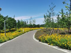 -东郊湿地公园