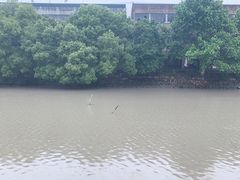 -邱记私房菜·十八年本地菜