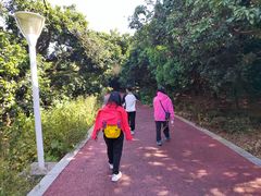 -风云岭森林公园