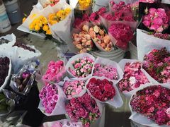 -秦美花卉(天朗·莱茵小城2期店)