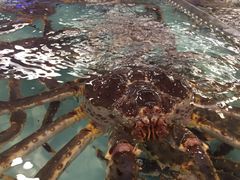 -青石桥市场北1-27号