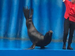 -华夏文旅海洋公园