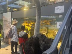 -北京大学赛克勒考古与艺术博物馆