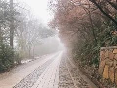 -紫金山山顶公园