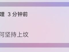 -约翰·菲茨杰拉德·肯尼迪国际机场