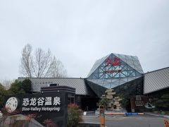 -久宴·天目湖大鱼头(恐龙园店)