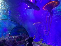 -沈阳海洋探索中心