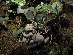 -邈墨茶馆(凤起路店)