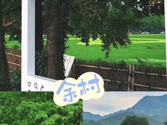 -阿露佳·舌尖上的安吉菜