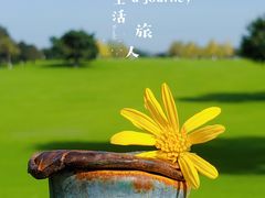 -重庆中央公园(渝北区)