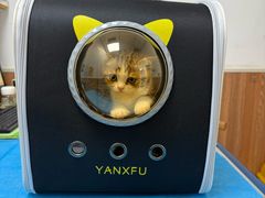 -宠福鑫动物医院·动物疾病诊疗中心(天通苑店)