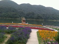 -广州市石门国家森林公园