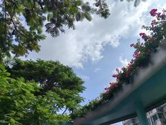 -厦门高崎国际机场-T3航站楼