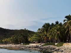 -日落吧·海景咖啡厅·餐酒吧·鸡尾酒·下午茶·乐队表演·浪漫夕阳·三亚文华东方酒店