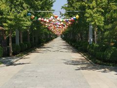 -南宫五洲植物乐园