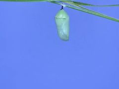 -励步成长中心·英文启蒙·剑桥考级·KET(众美凤凰城校区)