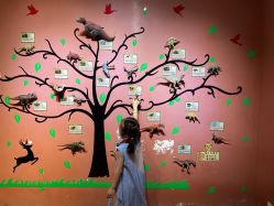 -酷嗒动物文化乐园(cutezoo西溪乐天城店)