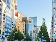-秋叶原电器街