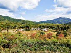 -塔川景区