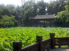 -房湖公园