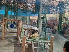 -栾川竹海野生动物园