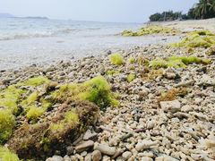 -三亚西岛海洋文化旅游区