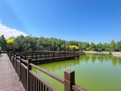 -北京政法职业学院(大兴校区)