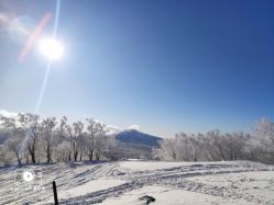 -大秃顶子山