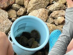 -深圳海钓·深圳钓鱼·拓展聚会鱼排