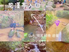 -阳台山森林公园