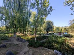 -滨河世纪广场公园