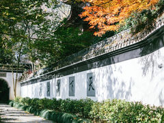 -虎跑公园