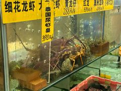 -寻味顺德·南记酒家·传统顺德菜·鱼生(广源路店)
