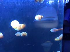 -五缘湾悦都汇购物中心