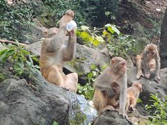-黔灵山公园
