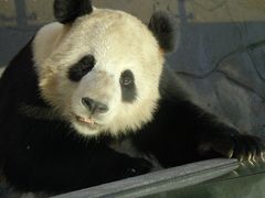 -宁波野生动物园
