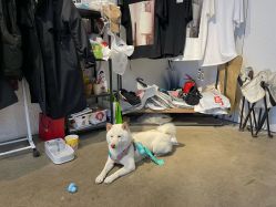 -嘉禾舞社·街舞培训工作室