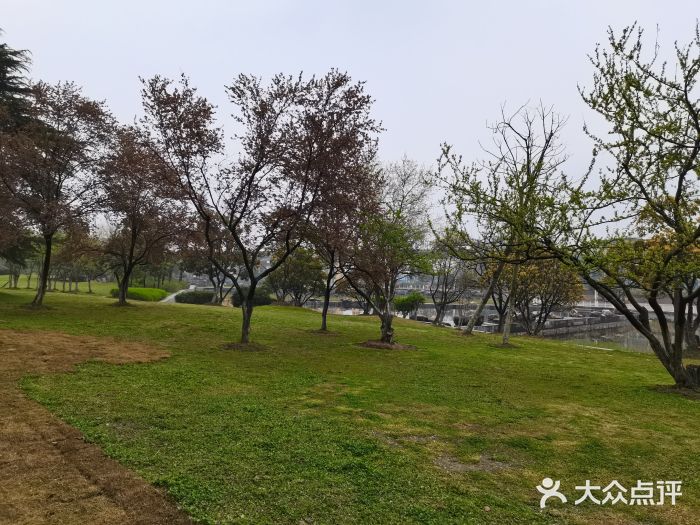 合肥生态公园图片