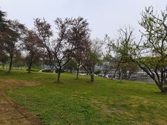 -合肥生态公园