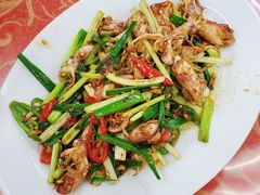 酱爆鲜鱿鱼-滑记海鲜饭店·老字号(海鲜街店)