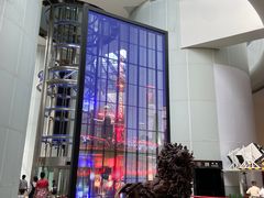 -东方明珠广播电视塔