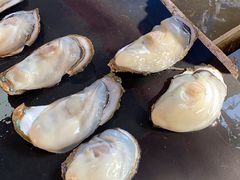 -南沙十九涌渔人码头-南门