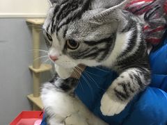 -谐和益家动物医院·免疫绝育·血液透析·宠保定点医院(高新伊藤分院)