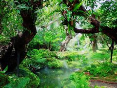 -Chom Cafe and Restaurant