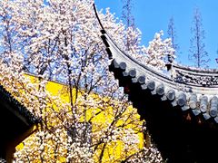 -龙华寺